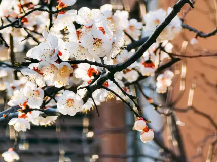Κασινο777 Καζίνο Κινητη εφαρμογη